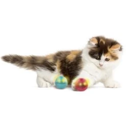 SmartyKat Flicker Balls Electronic Light Ball Cat Toy, Multicolor, Small, 2 Count -Pawfect Care 362928 PT3. AC SS1800 V1642646213