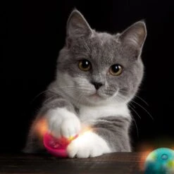 SmartyKat Flicker Balls Electronic Light Ball Cat Toy, Multicolor, Small, 2 Count -Pawfect Care 362928 PT4. AC SS1800 V1642642653