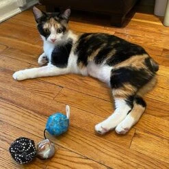 Meowijuana Get Rocked String Of Stones Plush Cat Toy With Catnip -Pawfect Care 363608 PT5. AC SS1800 V1643906483