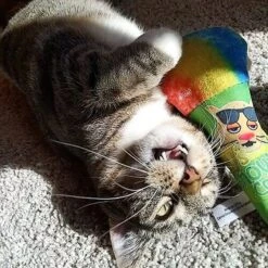 Meowijuana Get Chilled Snowcone Refillable Plush Cat Toy With Catnip -Pawfect Care 363614 PT2. AC SS1800 V1643906781