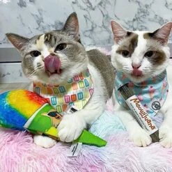 Meowijuana Get Chilled Snowcone Refillable Plush Cat Toy With Catnip -Pawfect Care 363614 PT4. AC SS1800 V1643907082