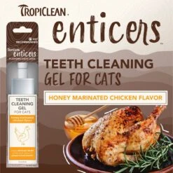 TropiClean Enticers Honey Marinated Chicken Flavor Cat Dental Gel, 2-oz Tube -Pawfect Care 365205 PT3. AC SS1800 V1698958468