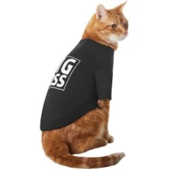 Frisco Big Boss Dog & Cat T-Shirt 11 Frisco Big Boss Dog & Cat T-Shirt -Pawfect Care 368782 PT2. AC SS1800 V1669100852