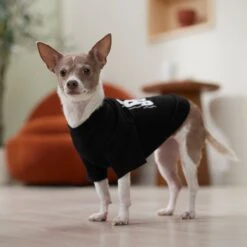 Frisco Big Boss Dog & Cat T-Shirt 14 Frisco Big Boss Dog & Cat T-Shirt -Pawfect Care 368782 PT7. AC SS1800 V1664992675