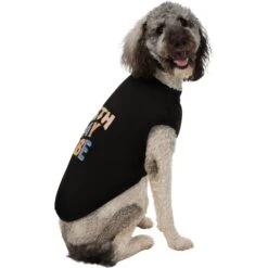 Frisco Birthday Vibe Dog & Cat T-Shirt -Pawfect Care 368790 PT4. AC SS1800 V1669100229