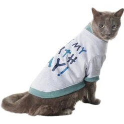 Frisco It's My Birth Day Dog & Cat T-Shirt -Pawfect Care 368808 PT2. AC SS1800 V1669100848