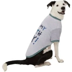 Frisco It's My Birth Day Dog & Cat T-Shirt -Pawfect Care 368808 PT4. AC SS1800 V1669101517