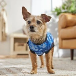 Frisco Tie-Dye Dog & Cat T-Shirt -Pawfect Care 368816 PT7. AC SS1800 V1664994331