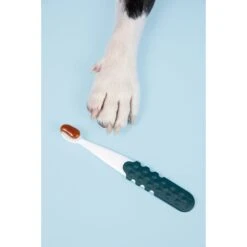 RADIUS Lush & Plush Dog & Cat Toothbrush -Pawfect Care 369006 PT4. AC SS1800 V1700155141
