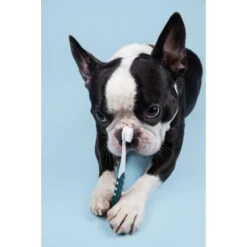 RADIUS Lush & Plush Dog & Cat Toothbrush -Pawfect Care 369006 PT5. AC SS1800 V1700155138