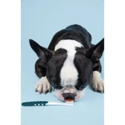 RADIUS Lush & Plush Dog & Cat Toothbrush -Pawfect Care 369006 PT7. AC SS1800 V1700155147