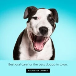 RADIUS Lush & Plush Dog & Cat Toothbrush -Pawfect Care 369006 PT8. AC SS1800 V1700155297