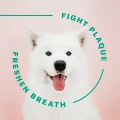 SUCHGOOD Sensitive Water Additive Cat & Dog Breath Freshner, 16-oz Bottle -Pawfect Care 369067 PT4. AC SS1800 V1658194181