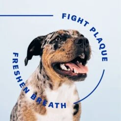 SUCHGOOD Original Breath Spray Cat & Dog Breath Freshner, 4-oz Bottle -Pawfect Care 369069 PT5. AC SS1800 V1658189822