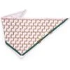 Boulevard Personalized Remy Buckle Dog Bandana -Pawfect Care 370162 MAIN. AC SS1800 V1649375546