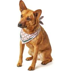 Boulevard Personalized Remy Buckle Dog Bandana -Pawfect Care 370162 PT6. AC SS1800 V1649367991