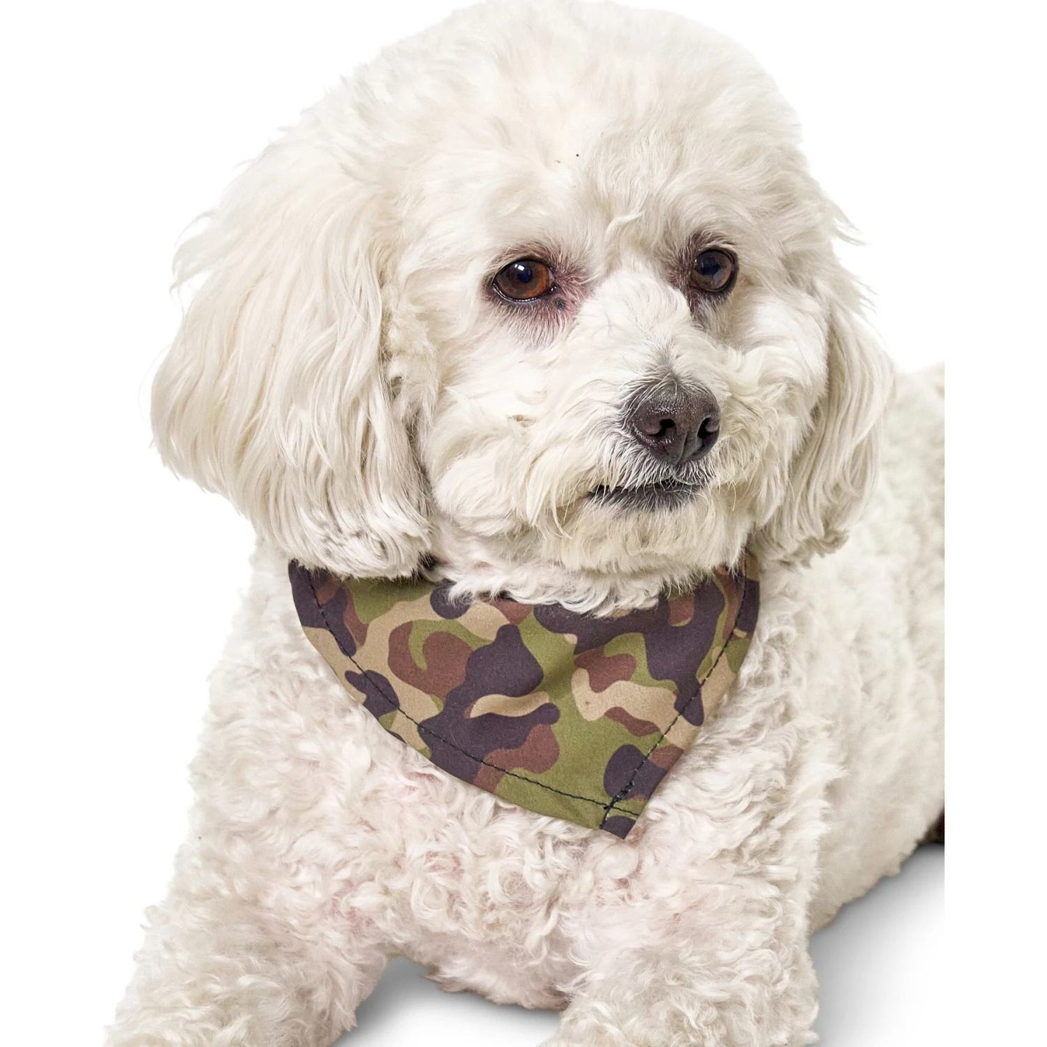 Boulevard Personalized Remy Camo Dog Bandana 7 Boulevard Personalized Remy Camo Dog Bandana - Image 5