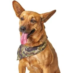 Boulevard Personalized Remy Camo Dog Bandana 13 Boulevard Personalized Remy Camo Dog Bandana -Pawfect Care 370165 PT6. AC SS1800 V1649376226