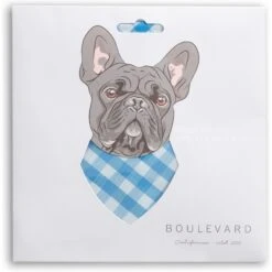 Boulevard Personalized Remy Gingham Dog Bandana -Pawfect Care 370168 PT2. AC SS1800 V1649374631