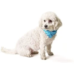 Boulevard Personalized Remy Gingham Dog Bandana -Pawfect Care 370168 PT6. AC SS1800 V1649369216