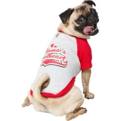 Frisco Mama's Sweetheart Dog & Cat T-Shirt -Pawfect Care 371063 PT2. AC SS1800 V1701797003