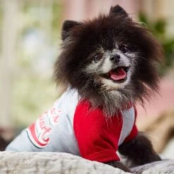 Frisco Mama's Sweetheart Dog & Cat T-Shirt -Pawfect Care 371063 PT7. AC SS1800 V1701796982