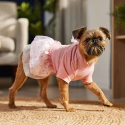 Frisco Tulle Hearts Dog & Cat Dress -Pawfect Care 371070 PT8. AC SS1800 V1700690505