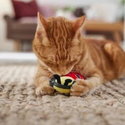 Frisco Valentine Jammin' Ladybug Plush Cat Toy With Catnip -Pawfect Care 371081 PT3. AC SS1800 V1668736252
