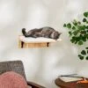 Frisco Cushioned Wall Mounted Cat Wall Shelf -Pawfect Care 373443 MAIN. AC SS1800 V1673025637