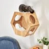 Frisco Hexagon Wall Mounted Cat Wall Shelf -Pawfect Care 373445 MAIN. AC SS1800 V1673014106