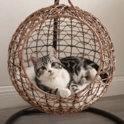 Sam's Pets Nala Hanging Egg Cat Condo -Pawfect Care 373517 PT2. AC SS1800 V1647641250