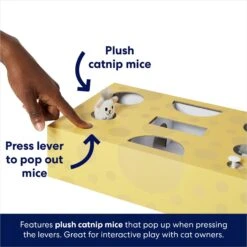 Frisco Cheese Interactive Maze Cardboard Cat Toy Box With Catnip -Pawfect Care 506106 PT3. AC SS1800 V1671551754