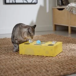 Frisco Cheese Interactive Maze Cardboard Cat Toy Box With Catnip -Pawfect Care 506106 PT4. AC SS1800 V1669148185