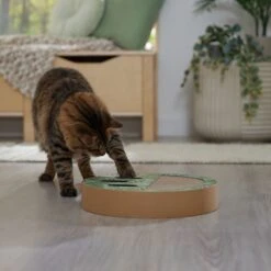 Frisco Interactive Maze & Scratch Cardboard Cat Toy Box With Catnip, Palms -Pawfect Care 506130 PT4. AC SS1800 V1669212028