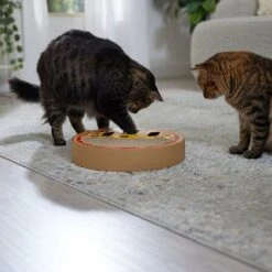 Frisco Interactive Maze & Scratch Cardboard Cat Toy With Catnip, Pizza -Pawfect Care 506154 PT4. AC SS1800 V1669148129