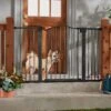 Frisco Outdoor Steel Arch Extra Wide Auto-Close Dog Gate -Pawfect Care 507118 MAIN. AC SS1800 V1668737294