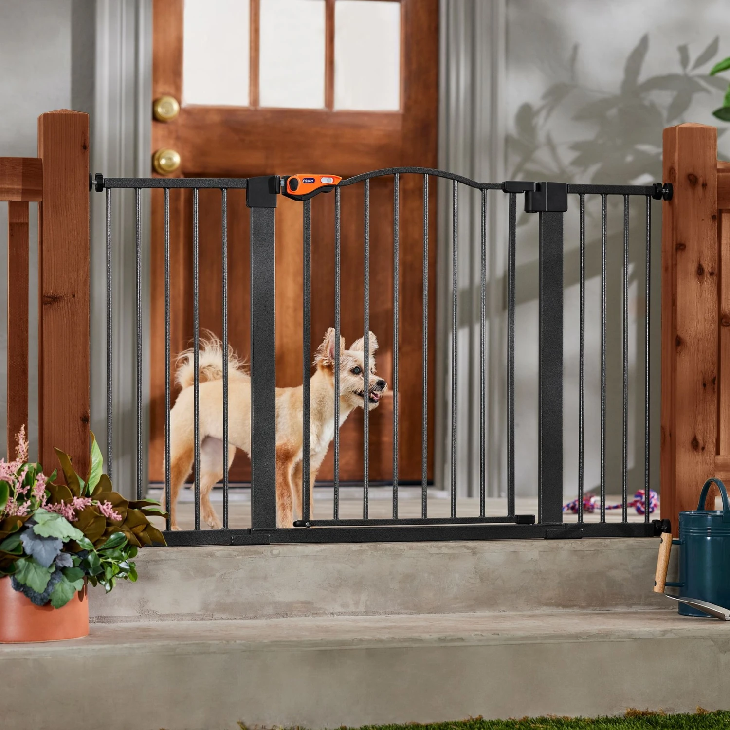 Frisco Outdoor Steel Arch Extra Wide Auto-Close Dog Gate 3 Frisco Outdoor Steel Arch Extra Wide Auto-Close Dog Gate