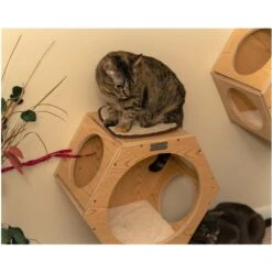 Armarkat Real Wood Cat Wall Additions, Natural Beige, 2 Count 16 Armarkat Real Wood Cat Wall Additions, Natural Beige, 2 Count -Pawfect Care 515630 PT5. AC SS1800 V1649349399