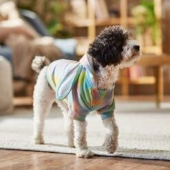 Frisco Wash Effect Bunny Ear Hoodie -Pawfect Care 521374 PT7. AC SS1800 V1699653757