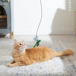 Frisco Leaf & Dragonfly Interchangeable Teaser Wand Cat Toy With Catnip -Pawfect Care 525982 PT3. AC SS1800 V1669148131