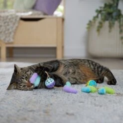 Frisco Fabric & Play Plastic Balls Cat Toy -Pawfect Care 526030 PT3. AC SS1800 V1669148132