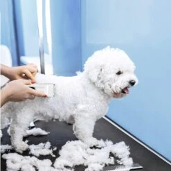 Bousnic Removable Blade Dog & Cat Grooming Clipper, White 13 Bousnic Removable Blade Dog & Cat Grooming Clipper, White -Pawfect Care 530030 PT4. AC SS1800 V1657658568