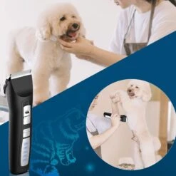 Bousnic Energy Saving Dog & Cat Grooming Clipper, Black -Pawfect Care 530062 PT5. AC SS1800 V1701932807