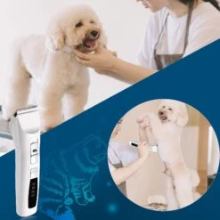 Bousnic Energy Saving Dog & Cat Grooming Clipper, Black -Pawfect Care 530062 PT6. AC SS1800 V1652469690