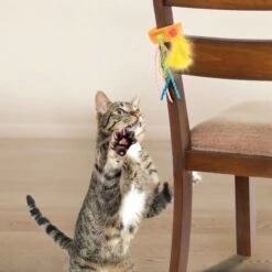 Petlinks Tethered Teaser Re-attachable Ribbon & Feather Cat Toy, Multi Color, Large -Pawfect Care 531526 PT1. AC SS1800 V1652776594