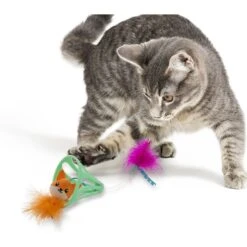 Petlinks HappyNip Sing & Seek Electronic Sound Toggle Wobble Cat Toy, Multi Color, Small -Pawfect Care 531542 PT4. AC SS1800 V1652740605