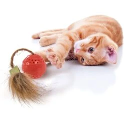 Petlinks Bobble Ball Soft Touch Dental Ball With Faux Fur Tail Cat Toy, Coral, Small -Pawfect Care 531558 PT1. AC SS1800 V1657658627