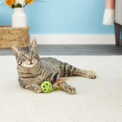 JW Pet Cataction Feather Ball With Bell Cat Toy -Pawfect Care 53412 PT7. AC SS1800 V1526316604