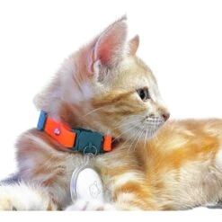 Kittyrama Kitten Breakaway Adjustable With Bell Cat Collar -Pawfect Care 534390 PT2. AC SS1800 V1652979984