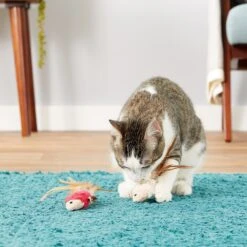 KONG Crinkle Fish Cat Toy, Color Varies -Pawfect Care 53514 PT4. AC SS1800 V1603150886